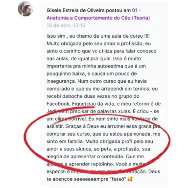 Depoimento aluno GGV